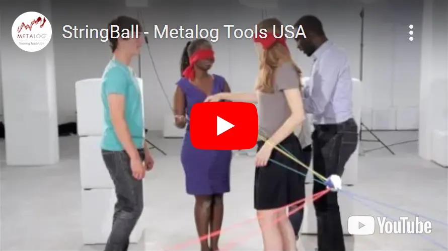 Stingball Video Metalog Italia