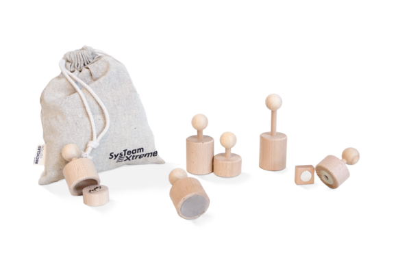 Sys Team Extreme Metalog Italia