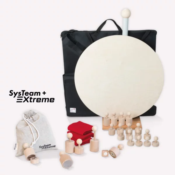 Systeam Komplettset - Metalog Italia-Econsultant